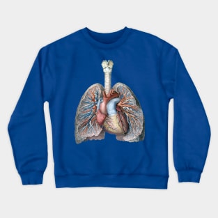 Vintage Science and Human Anatomy with Lungs, Heart, Organs and Blood Vessels Crewneck Sweatshirt